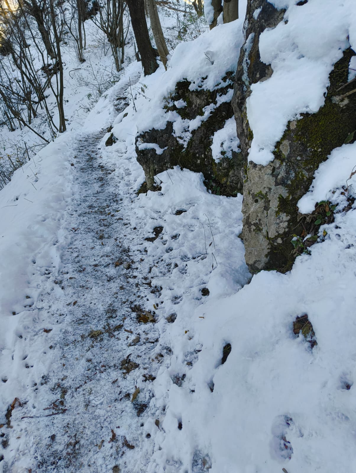 Foto n° 2 del trekking Monte Barro Innevato